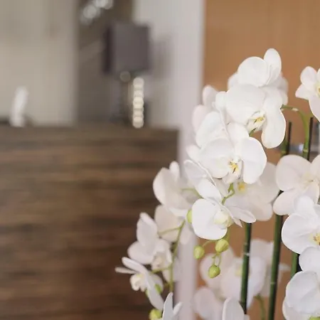 Aneta Oda ve Kahvaltı